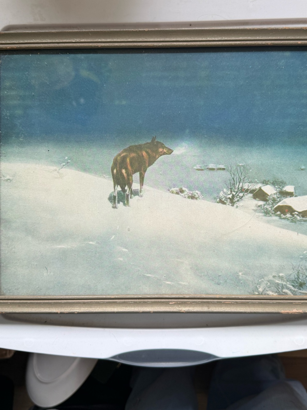 Framed Winter Lone Wolf by Victor Kowalski